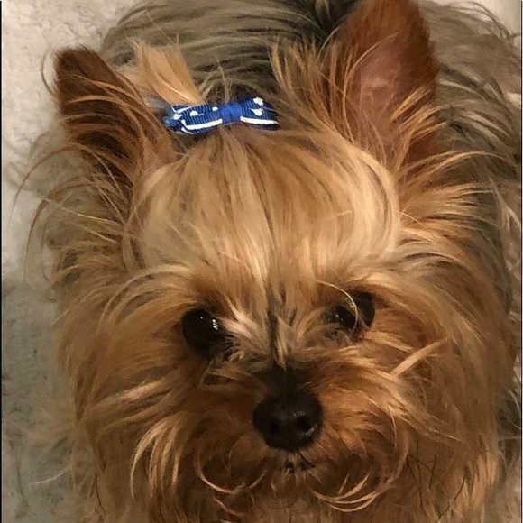 Meet your Posher, Roxane - Picture 2 of 4